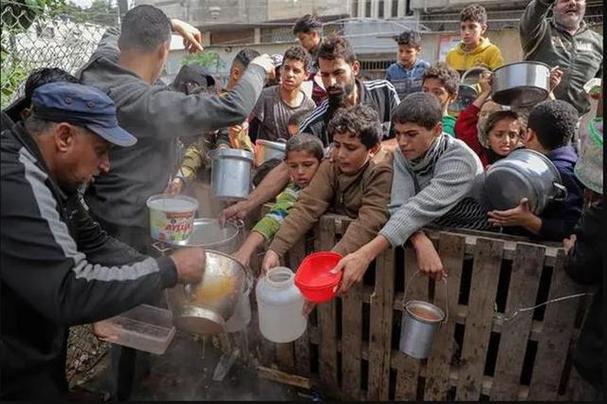 新奥2025今晚开奖资料和加沙数万难民抢食物与加沙数万难民抢食物视频