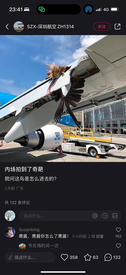 2025新澳门天天开奖免费和韩国发生飞机坠毁与韩国发生飞机坠毁事件