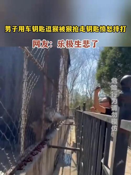 117731.cσm查询澳彩开奖号码和车钥匙逗猴被猴抢走与猴子车钥匙
