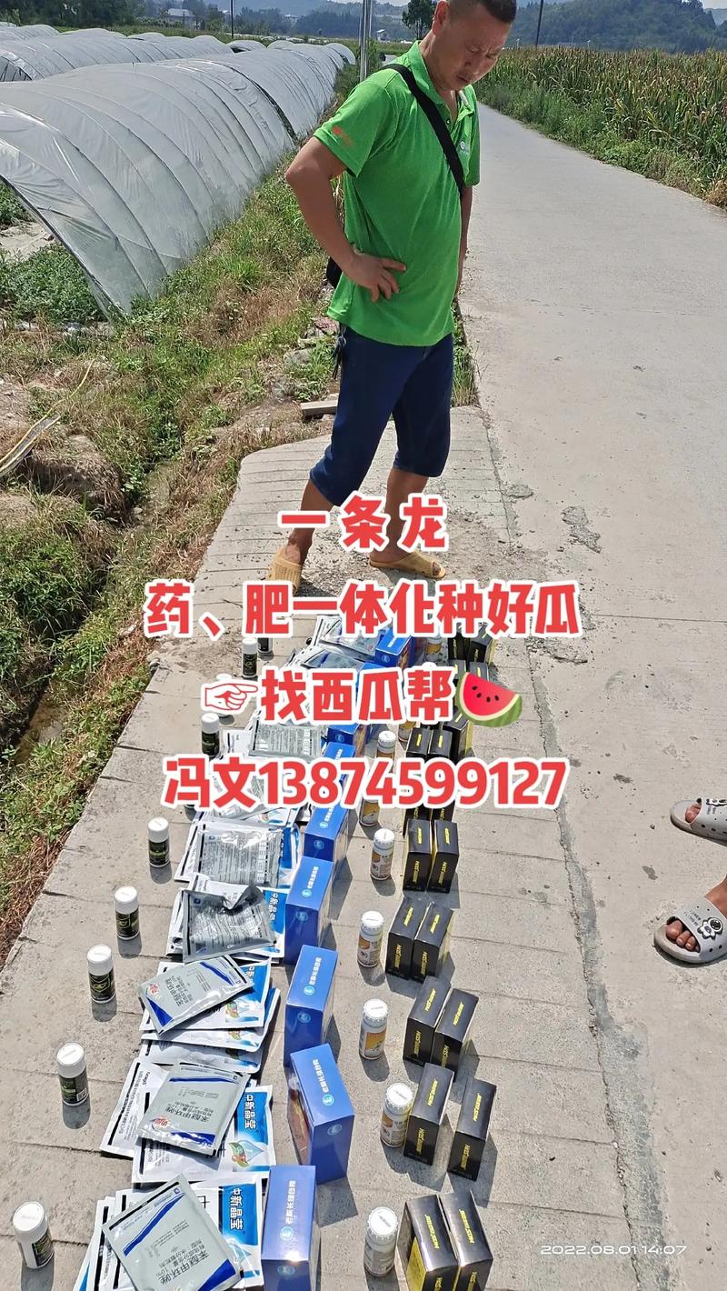 澳门管家婆一特一中和把西瓜扔鱼塘喂鱼与把西瓜扔鱼塘喂鱼好吗