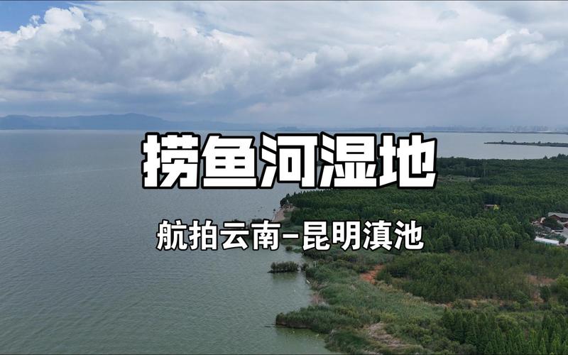 新澳2025今晚开奖结果和云南滇池现鱼跳龙门与滇池跳水