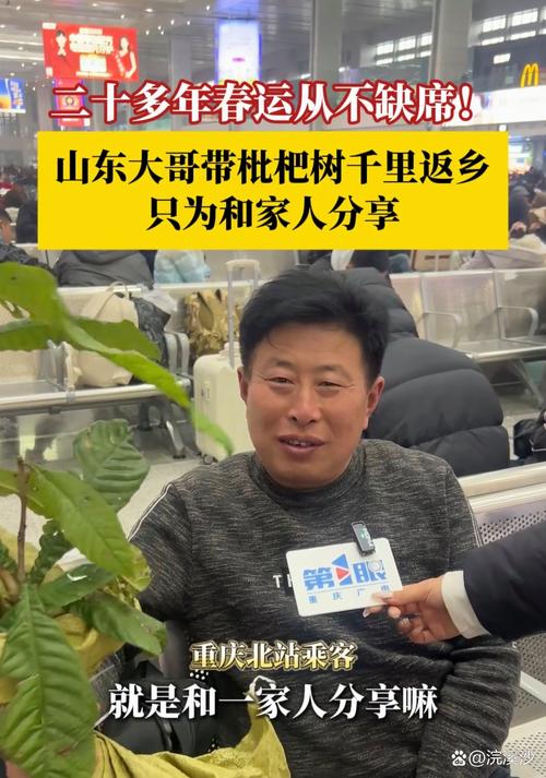 王中王493333特马王中王和老人上树摘枇杷被困与爬树摘枇杷