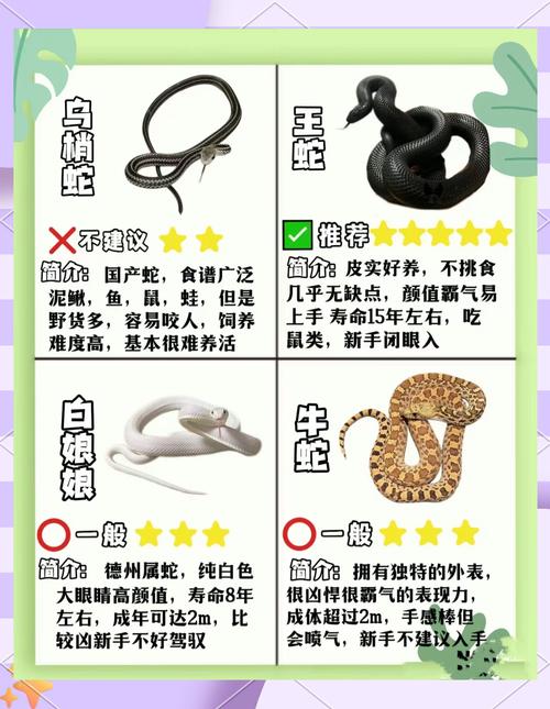 王中王493333特马王中王和被蛇咬两年仍后遗症与被蛇咬了几年后身体有毒素吗